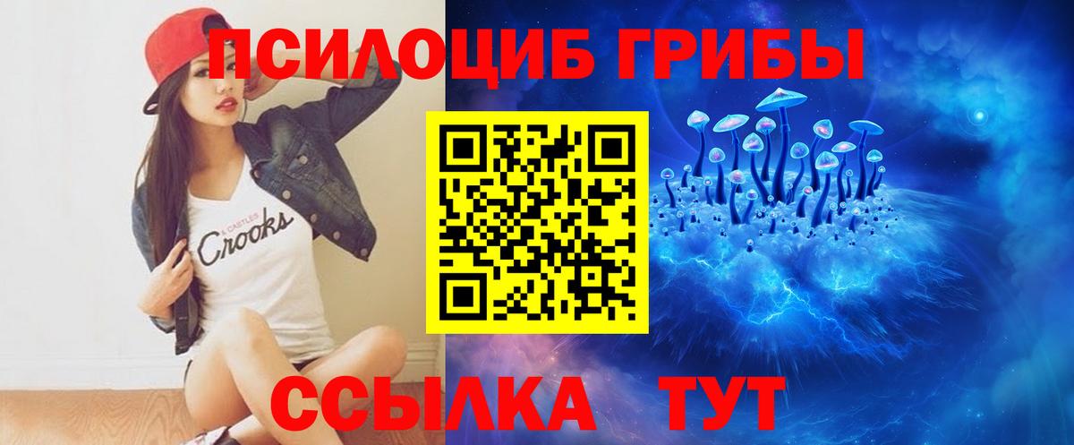 Псилоцибиновые грибы MAGIC MUSHROOMS Елабуга